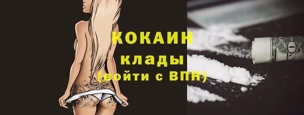 дмт Богородицк