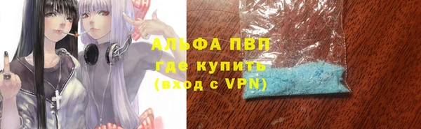 дмт Богородицк