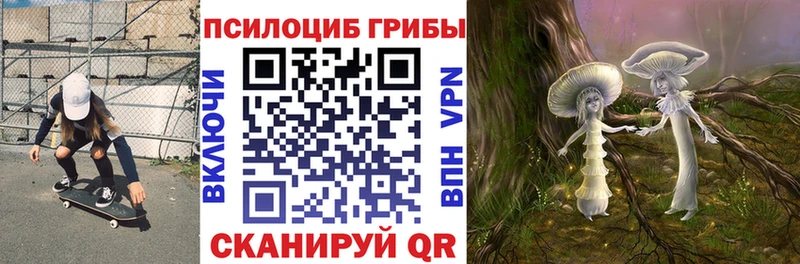 наркошоп  Ермолино  Псилоцибиновые грибы ЛСД 